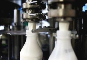 Leite: Comissão Europeia anuncia medidas de emergência de apoio ao mercado