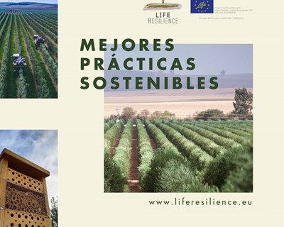 Life Resilience fecha 2021 com grande evolução contra Xylella Fastidiosa