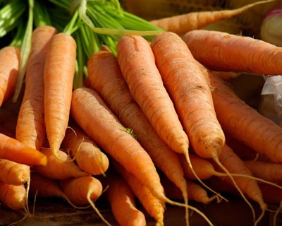 Lipor continua o seu caminho no desenvolvimento de soluções sustentáveis para o crescimento das plantas