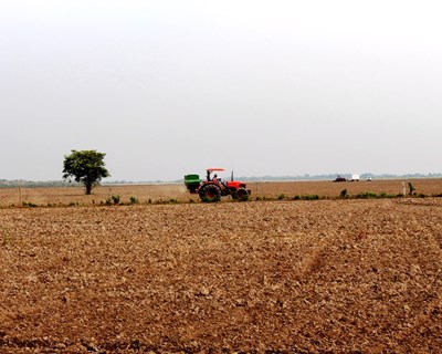 Lisboa: Confagri debate "a Agricultura, a PAC e o Desenvolvimento Rural"