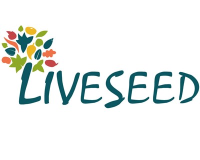 LIVESEED avança com ensaios de seleção e de avaliação de variedades tradicionais de milho em Terras do Sousa