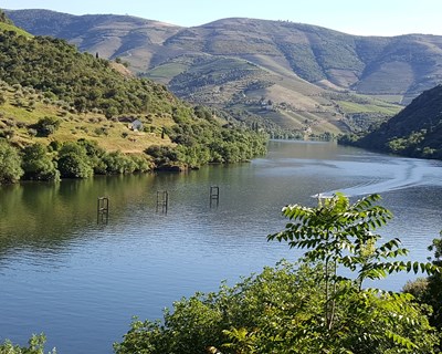 LivingSoiLL reúne no Douro