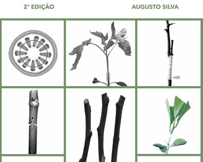 Livro: Enxertias - Manual Técnico para Amadores e Profissionais