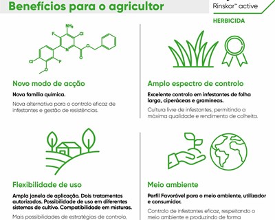 Loyant - o novo herbicida para a cultura do arroz obtém registo definitivo