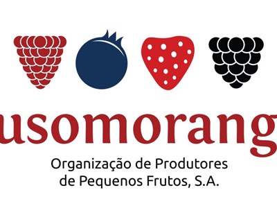 Lusomorango participa na Fruit Attraction Madrid, em formato 100% digital