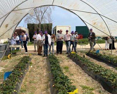 Lusomorango recebeu Grupo de Contacto do Morango e Pequenos Frutos