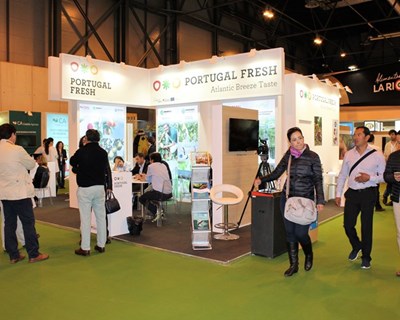Magos Irrigation Systems faz balanço positivo da participação na Fruit Attraction