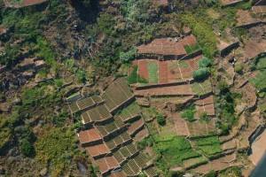 Mais de 3.000 furtos registados este ano nas explorações agrícolas francesas