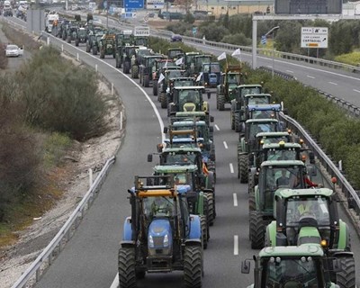 Manifestação histórica em Sevilha: Mais de 16 000 agricultores espanhóis reclamam sobre os preços agrícolas