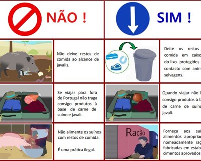 Medidas de Prevenção da Peste Suína Africana
