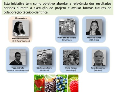 Mesa Redonda do GO – CompetitiveSouthBerries realiza-se em março