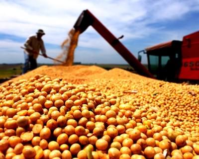 Milho e soja podem gerar surpresas no mercado