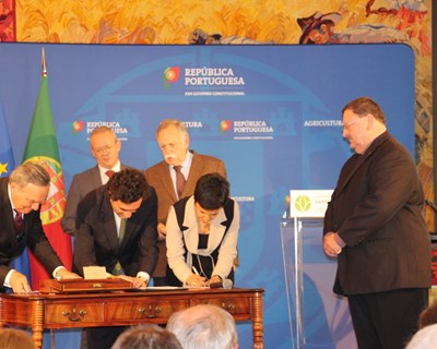 Ministério da Agricultura assinala Ano Internacional da Sanidade Vegetal