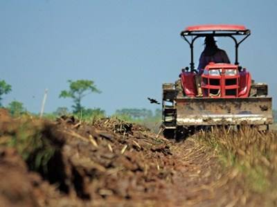 Ministério da Agricultura com programa orçamental de €1017,4 milhões