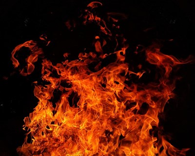 Ministério da Agricultura e Alimentação disponibiliza 500 mil euros aos agricultores afetados pelos incêndios