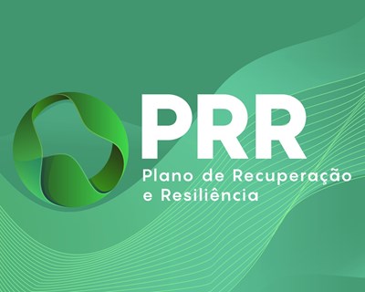 Ministério da Agricultura lança quatro avisos financiados pelo PRR para projetos de investigação, desenvolvimento e inovação na agricultura