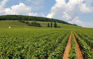 Ministério da Agricultura: programa de reestruturação já delegou grande parte de funções em organizações de agricultores