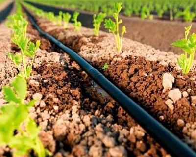 Ministra da Agricultura assina protocolo para constituição do Centro de Competências para a Agricultura Familiar e Agroecologia (CeCAFA)