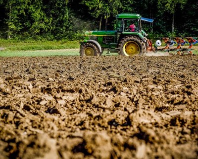 Ministra da Agricultura: «PDR2020 já apoiou 2430 projetos de investimento de jovens agricultores em territórios de baixa densidade»