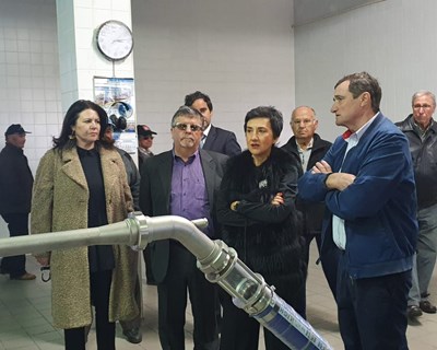 Ministra da Agricultura: «Temos na agricultura uma peça fundamental para o futuro do país»