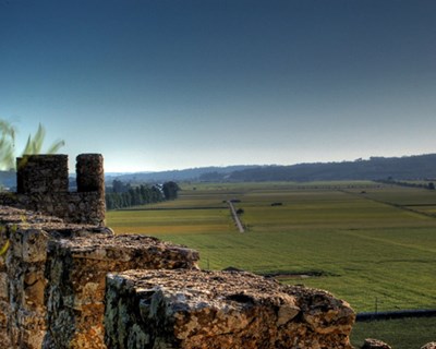 Montemor-o-Velho debate alterações climáticas e o seu impacto na agricultura