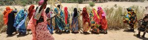 Mulheres tomam a iniciativa no Desenvolvimento Agrícola no Chade