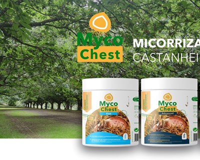 Deifil lança nova gama de produtos MycoChest à base de micorrizicos