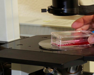 U. Évora cria Laboratório de Investigação em Agricultura