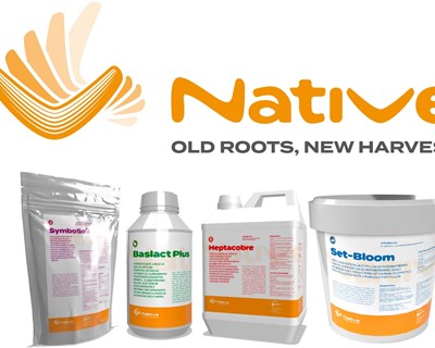 Native: Aumentar a rentabilidade de forma ecológica