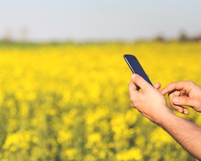 NEC Portugal promove Webinar sobre a solução NEC CropScope para Agricultura Inteligente