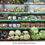 Nova Iorque: restos de comida vão aquecer cinco mil casas