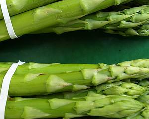 Nova Sessão sobre o Cultivo do Espargo em Braga
