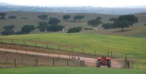 Nunca existiram tão poucos trabalhadores na Agricultura, segundo o Presidente da CNA