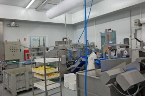 Nuvi Fruits: investimento de €2 milhões no Oeste