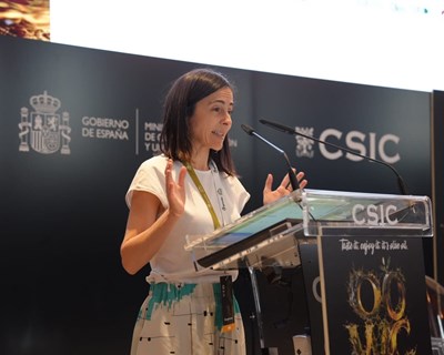 "O azeite não só enriquece os pratos, como também promove práticas sustentáveis e reforça o marketing territorial"