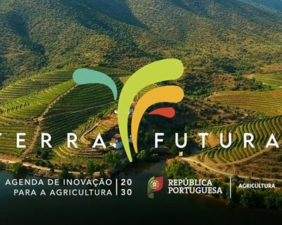 O contributo da Rede de Inovação para o futuro da Agricultura