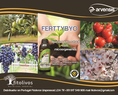 O efeito do biofertilizante Ferttybyo: aplicação durante dois anos na cultura do olival