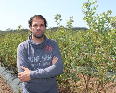 «O maior desafio para a fileira é a organização entre os produtores»