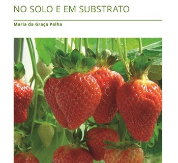 O novo livro sobre a cultura do morango no solo e em substrato