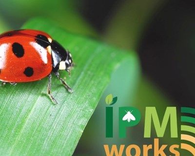 Projeto H2020 IPMWORKS está a celebrar 1 ano