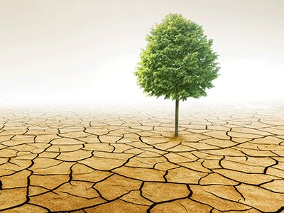 OCDE lança portal sobre agricultura