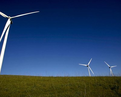 Oeiras debate energia eólica no mundo rural