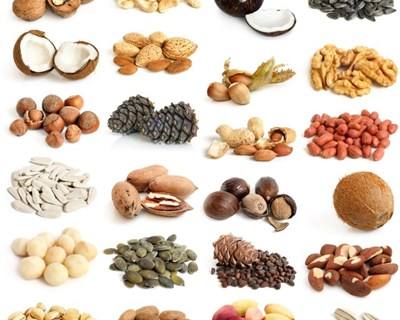 Oleaginosas: produção mundial aumenta 15 milhões de toneladas em 2016