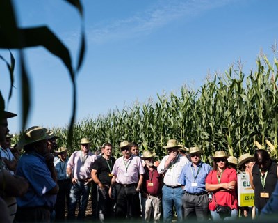 Olimpíadas agrícolas estão de volta à AgroSemana