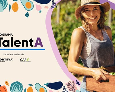 Últimos dias para apresentação das candidaturas à 2ª edição do TalentA