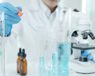 Organizações agrícolas de todo o mundo apoiam a edição do genoma