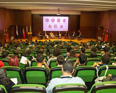 Ouvir os agricultores e a ciência na definição de políticas sobre o uso sustentável dos pesticidas