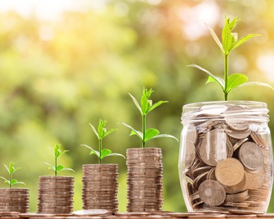 Pagamentos ao setor agroflorestal em janeiro somam cerca de 37,2 milhões de euros