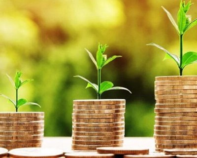 Pagamentos ao setor agroflorestal em junho somam mais de 60M€