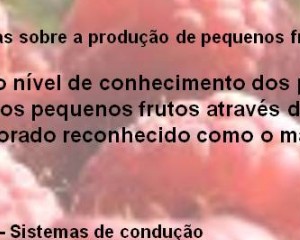Palestra Produção de Framboesa e Amora
